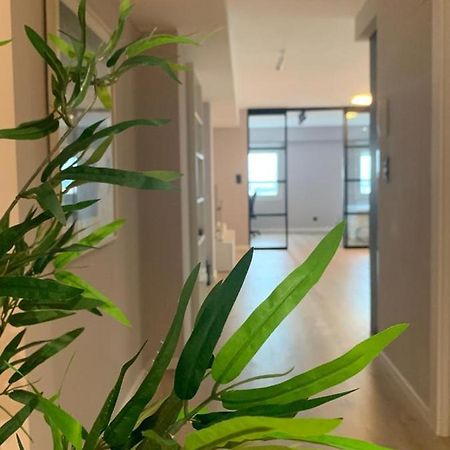 Espectacular Loft Lleno De Luz Y Espacio! Сарагоса Екстер'єр фото